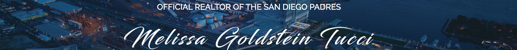 Melissa Goldstein Tucci's Cover Image