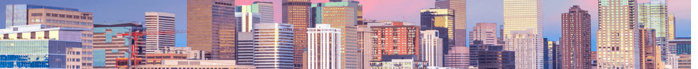 Erin Rose's Cover Image