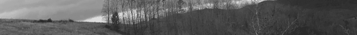 Kay McKinney Realtor's Cover Image