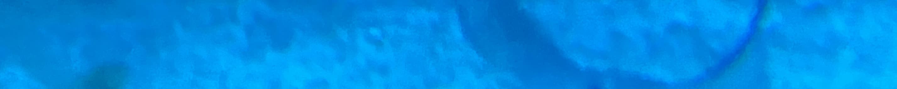 Donna Bennington's Cover Image