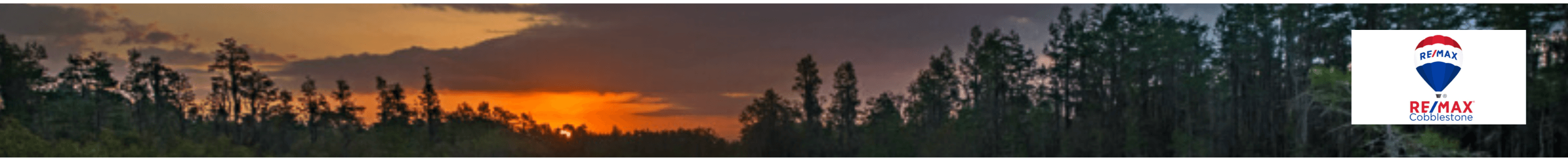 Katrina Wyatt, RE/MAX Cobblestone, Realtor's Cover Image