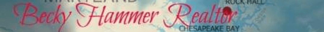 Rebecca Hammer's Cover Image