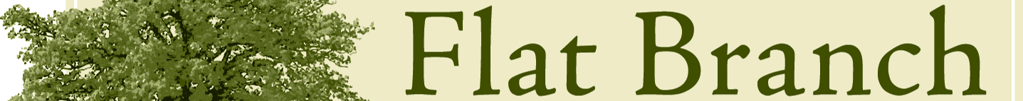 Steven Wheeler's Cover Image