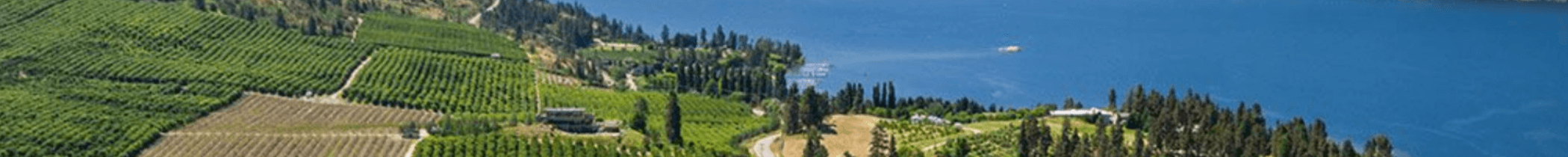United Real Estate Experts:Paul Avratin's Cover Image