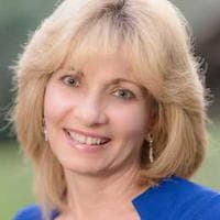 Dianelys Cespedes Mendez - Agent in Tampa, FL