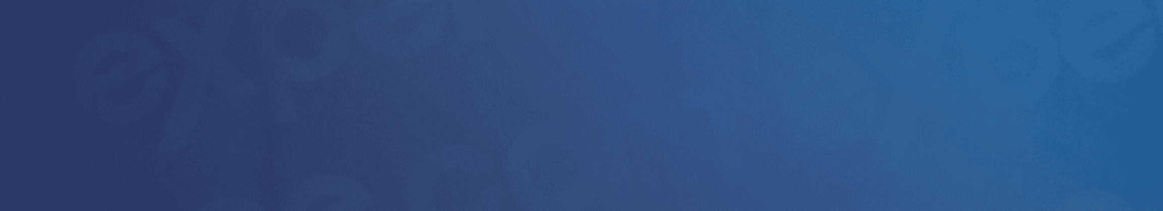 William Lee Hagood IV's Cover Image