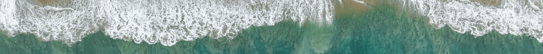 CHRISTOPHER FOX's Cover Image