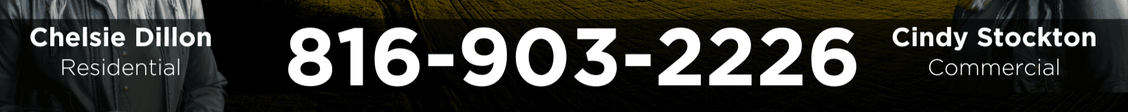 Chelsie Dillon's Cover Image