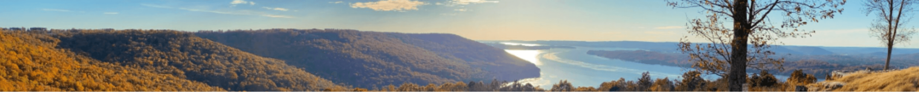 Steve Stinson - Keller Williams Realty Huntsville's Cover Image
