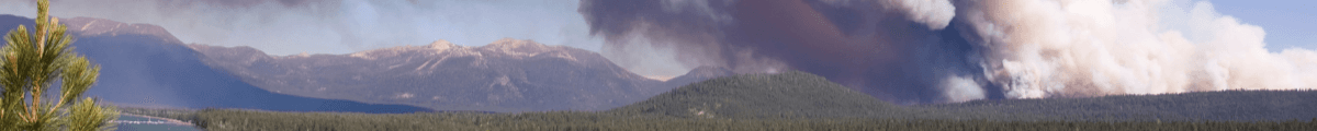 Fire Hard Property Defense's Cover Image