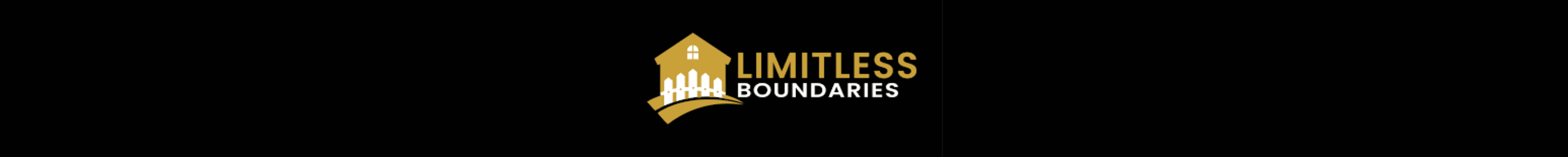 Limitless Boundaries's Cover Image
