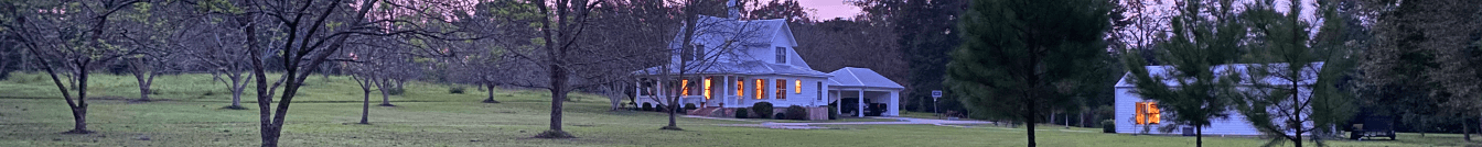 Benjamin Leonards's Cover Image