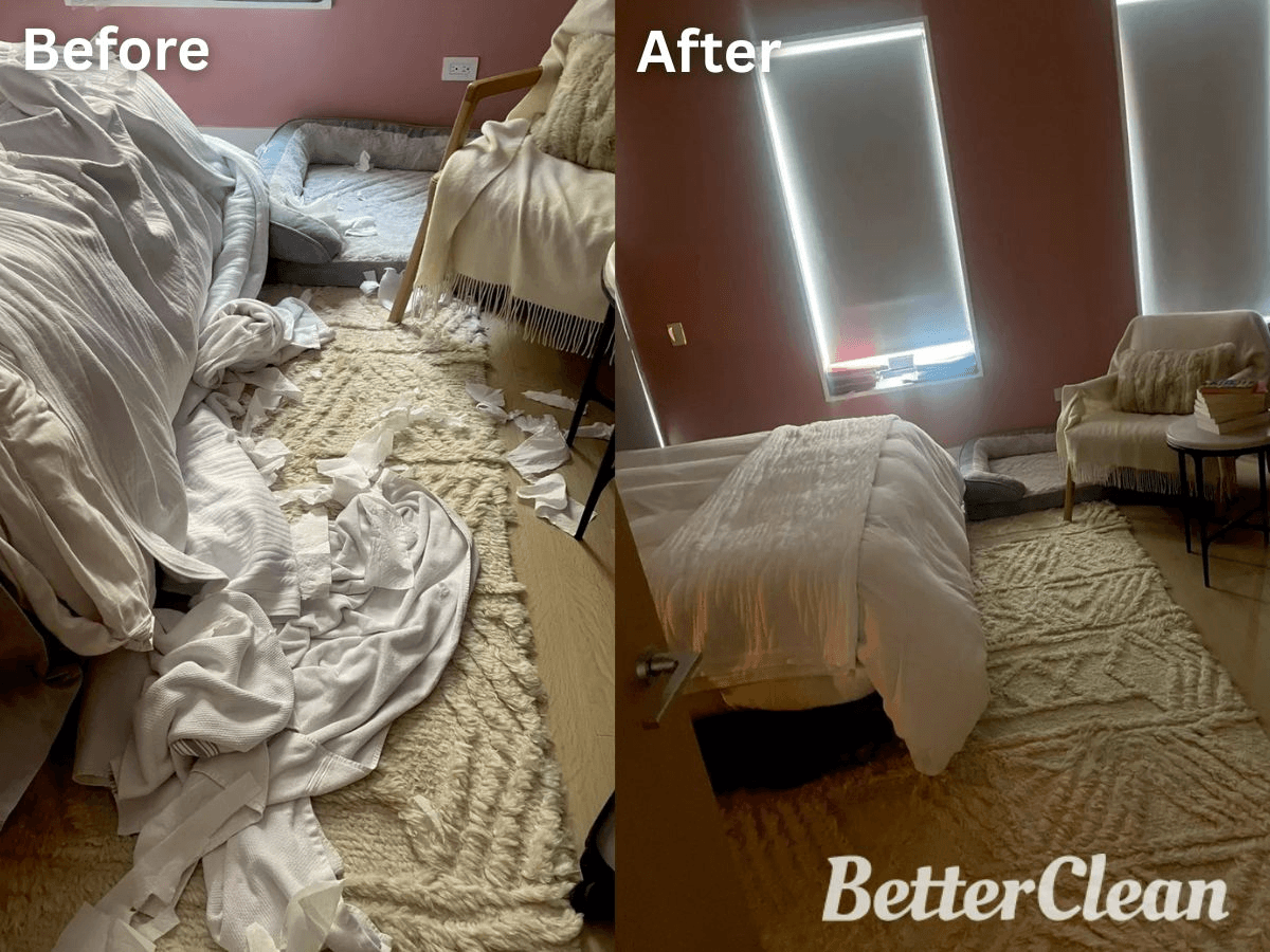 Better Clean Services Boston - Gallery Photo