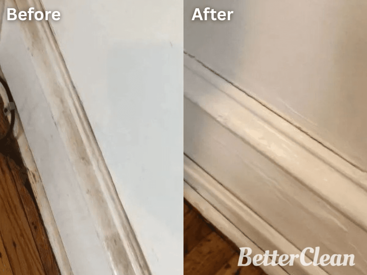Better Clean Services Boston - Gallery Photo