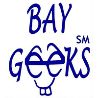 Bay Geeks - Owner in St. Petersburg, FL