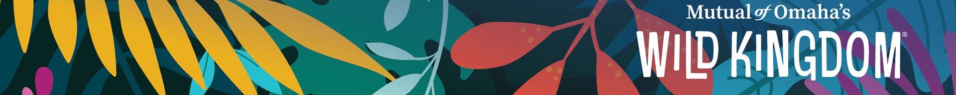 Michael Ross's Cover Image
