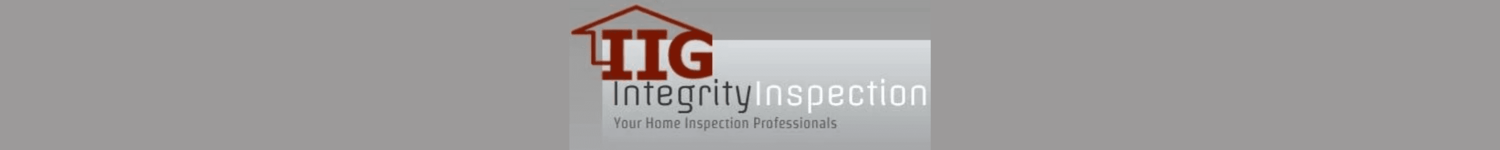 Integrity Inspection Group's Cover Image