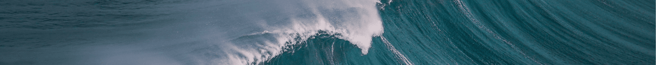 Team Molina at Coast Home Loans's Cover Image