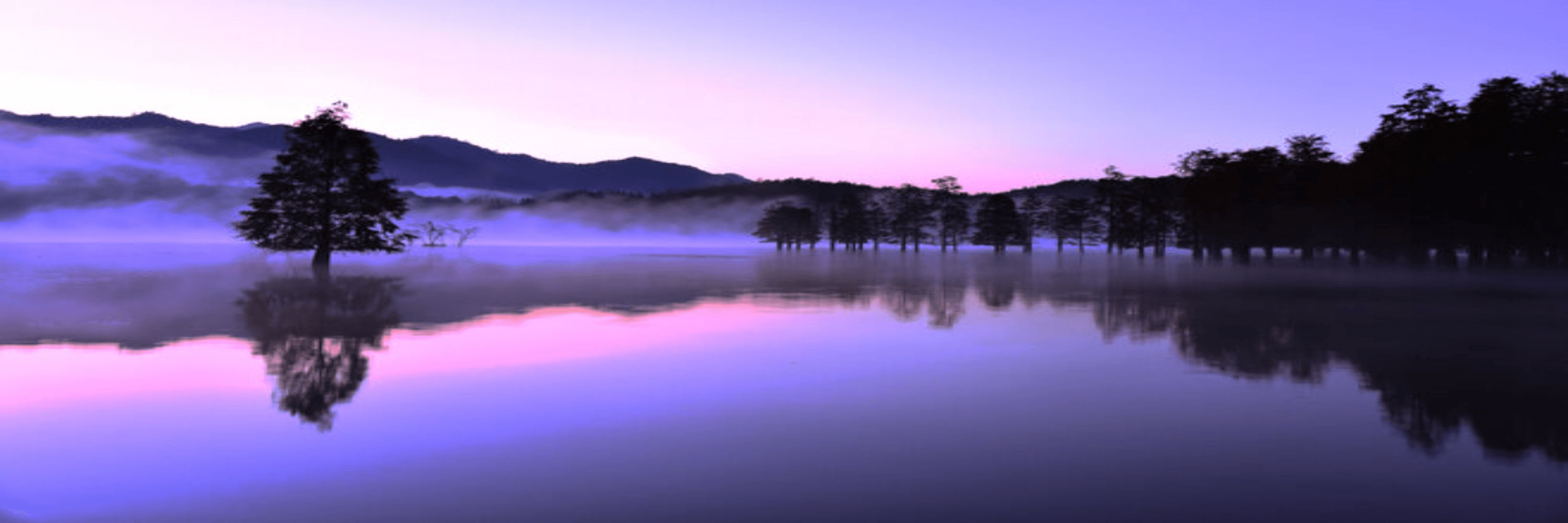 Testing AYR 's Cover Image