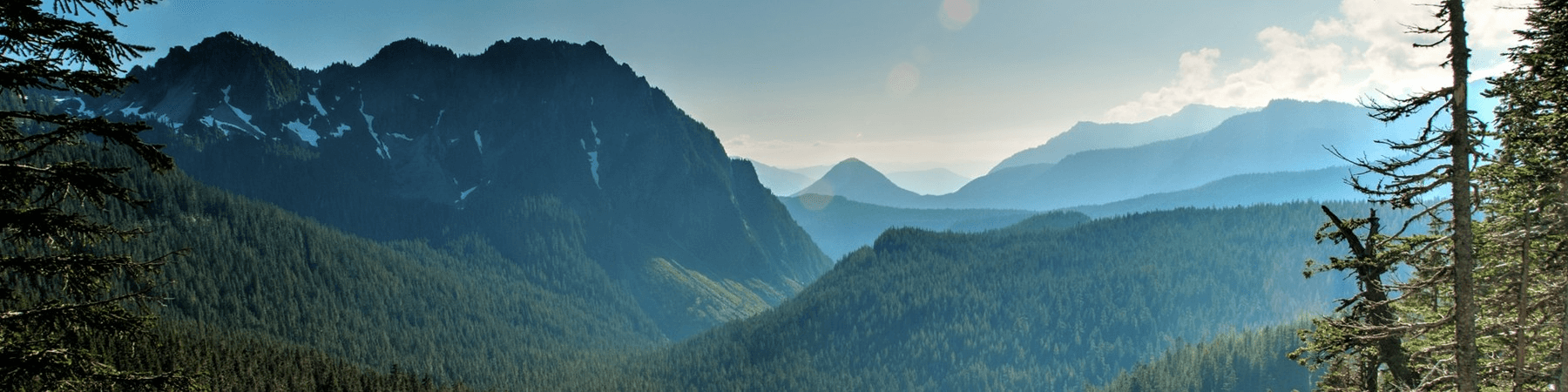 Guild Mortgage - Donnie Owen's Cover Image