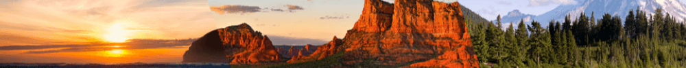 Guild Mortgage - Buddy Puckett's Cover Image